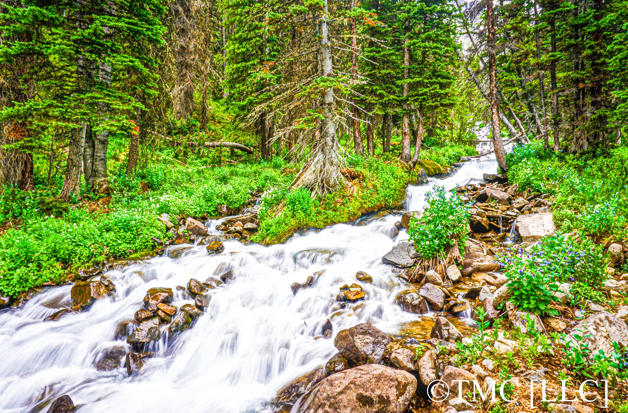 "Visceral Stream Up in Rocky Mountain National Park" [2017]