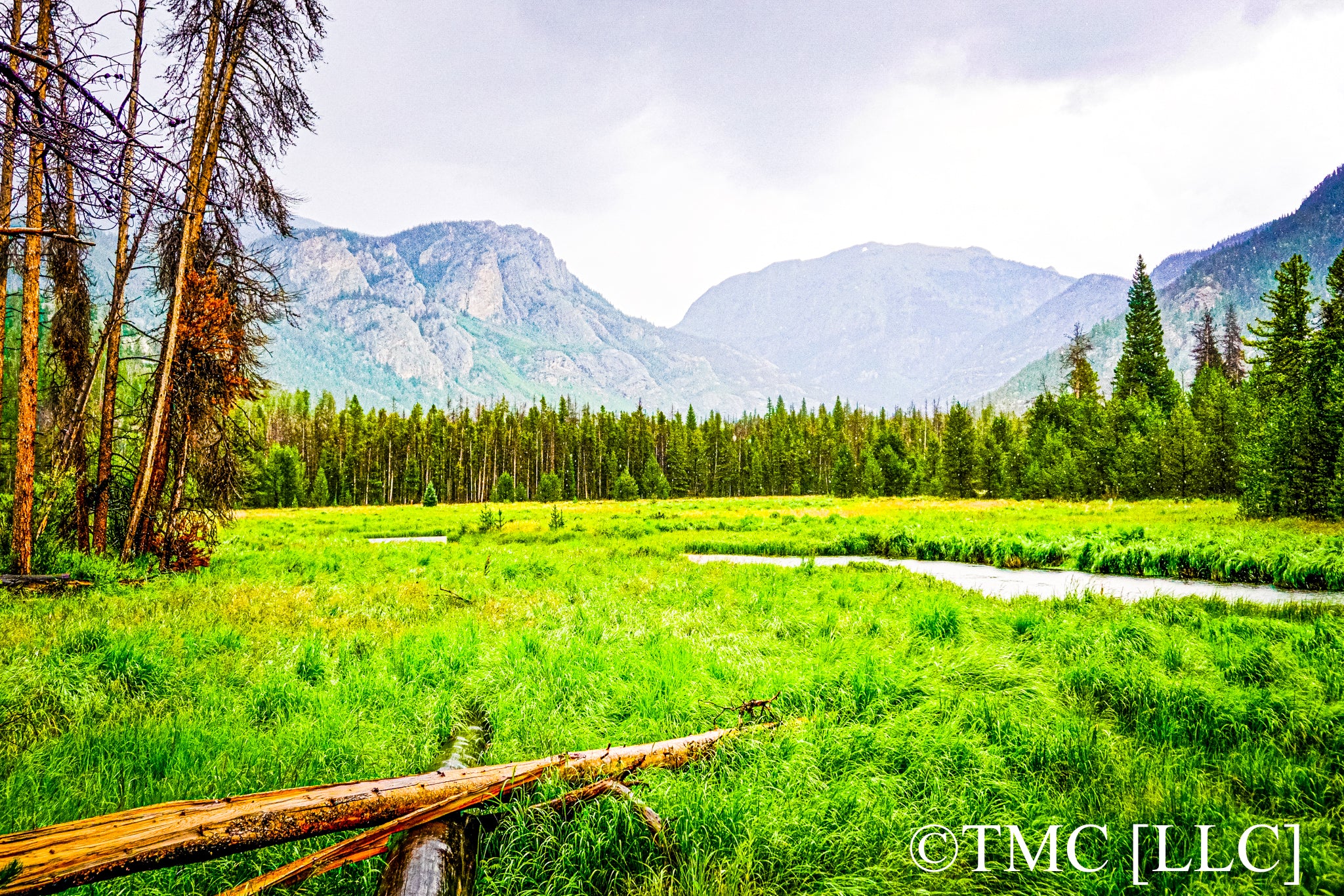 "Overcast Rain in the Afternoon at a Rocky Mountain Valley" [2017]