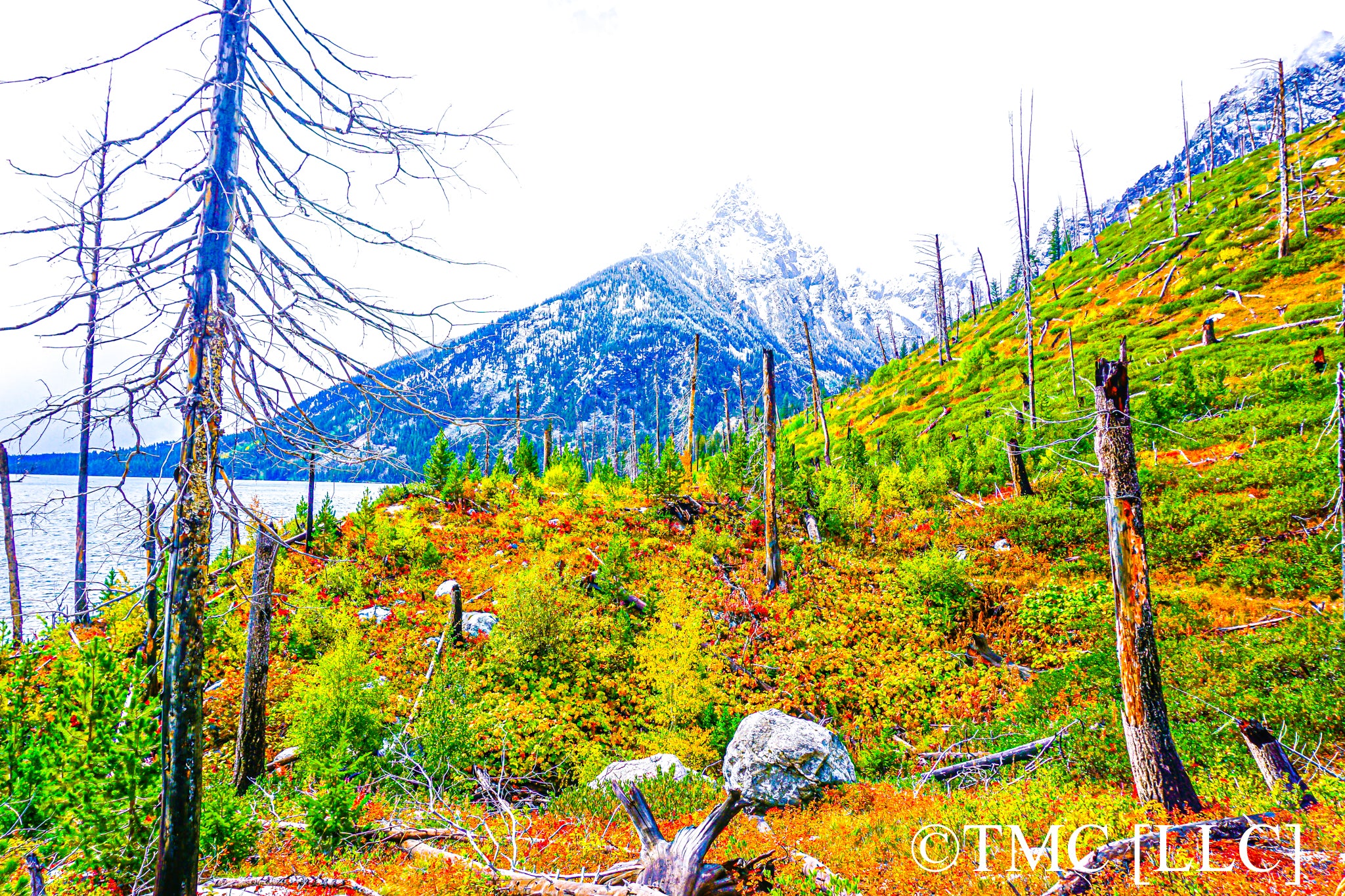 "Fall Foliage and White-Capped Mountain in Grand Teton National Park" [2017]